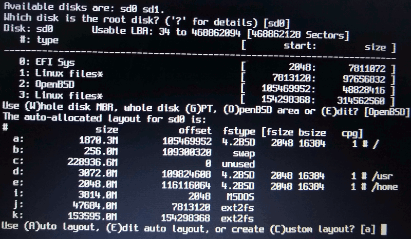 Error Automatic Allocation de disklabel