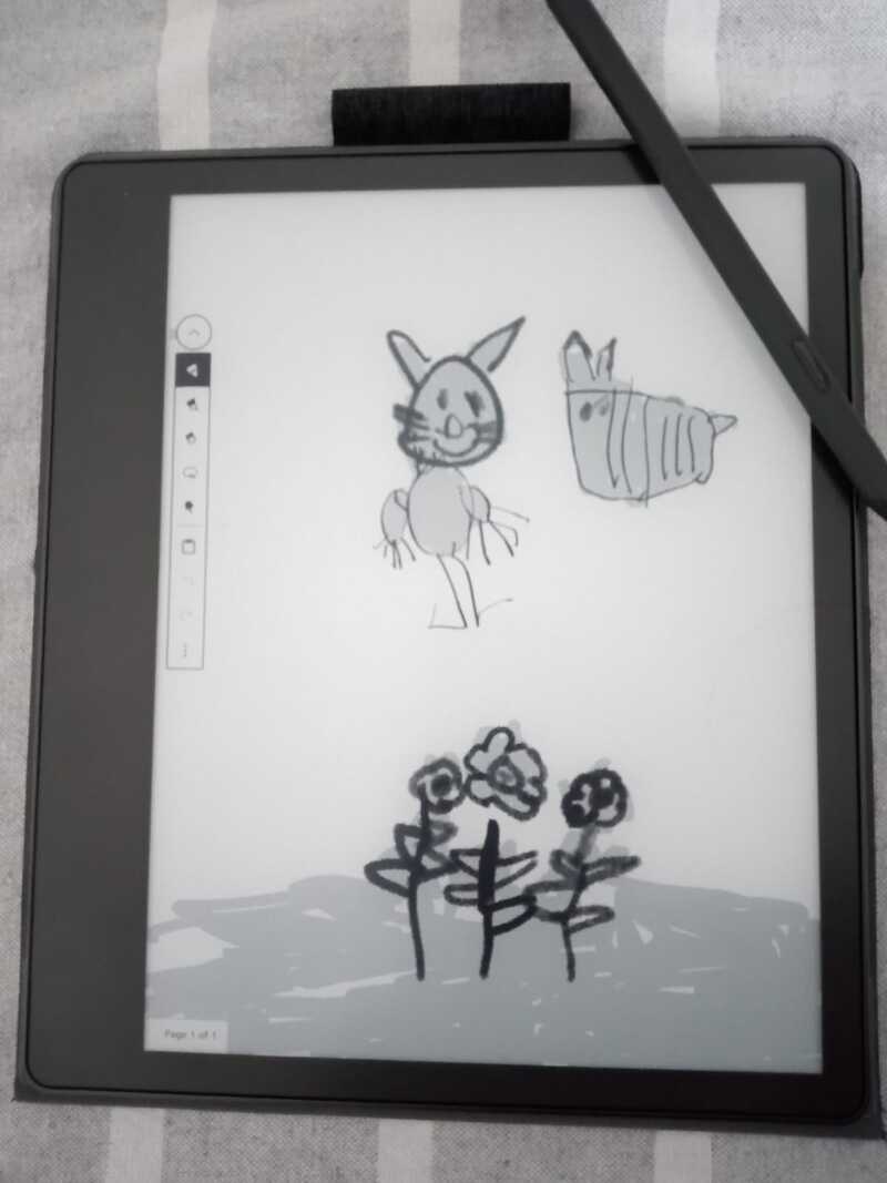 gato dibujado por Sofía